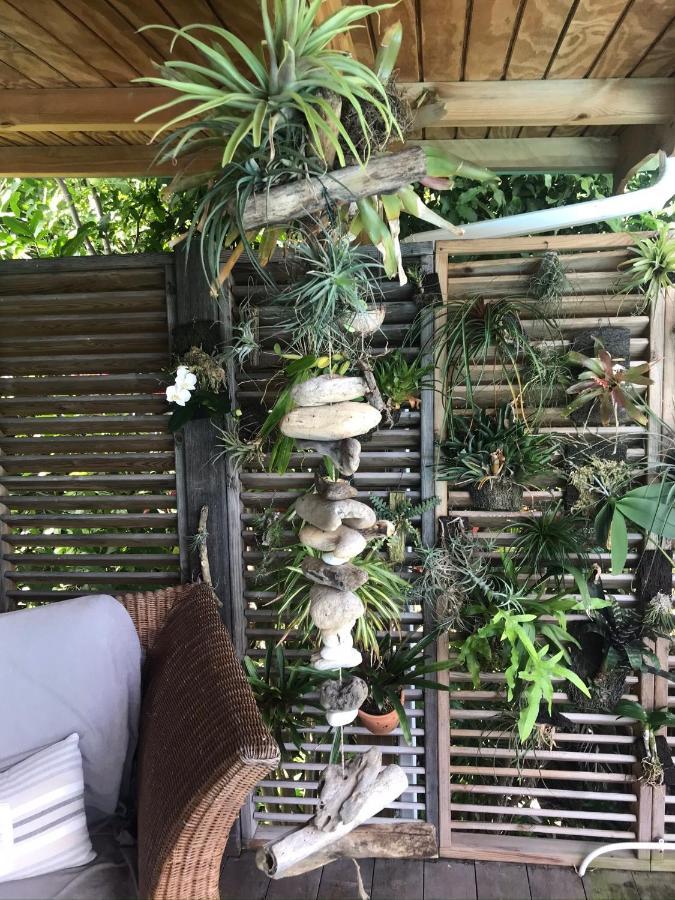 Villa Pelican Lodge Deshaies Bagian luar foto