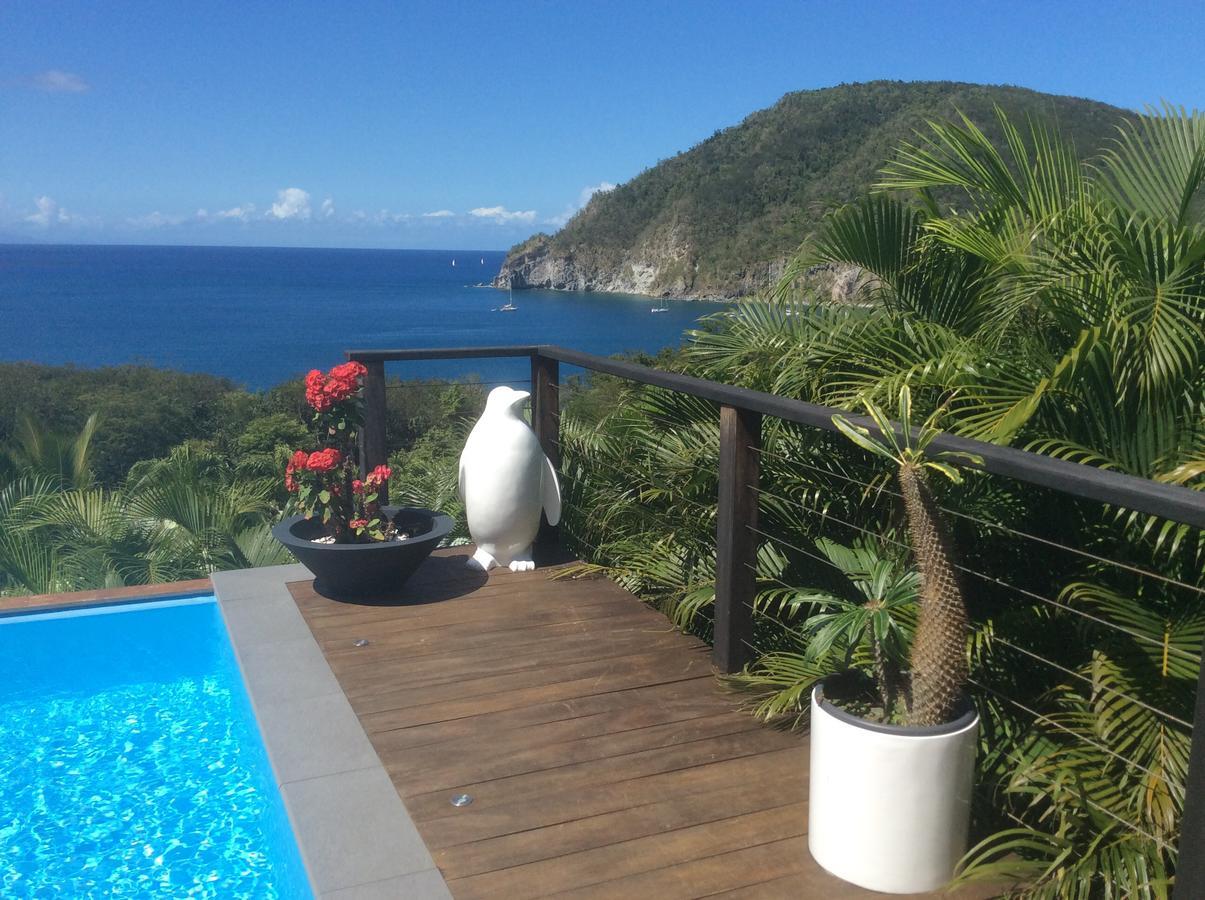 Villa Pelican Lodge Deshaies Bagian luar foto